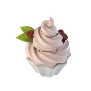 frozen yogurt model