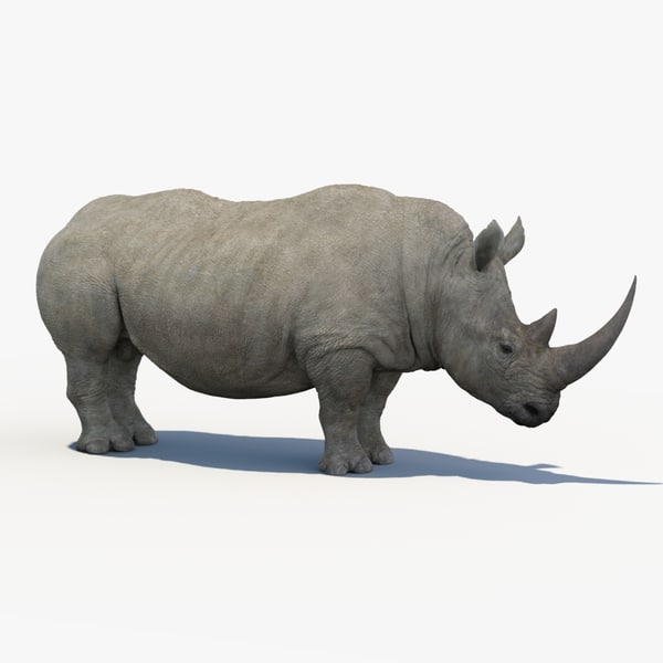 download Rhinoceros 3D 7.31.23166.15001 free