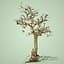 3D dead forest tree stylised