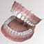 dentition stylized 3D model