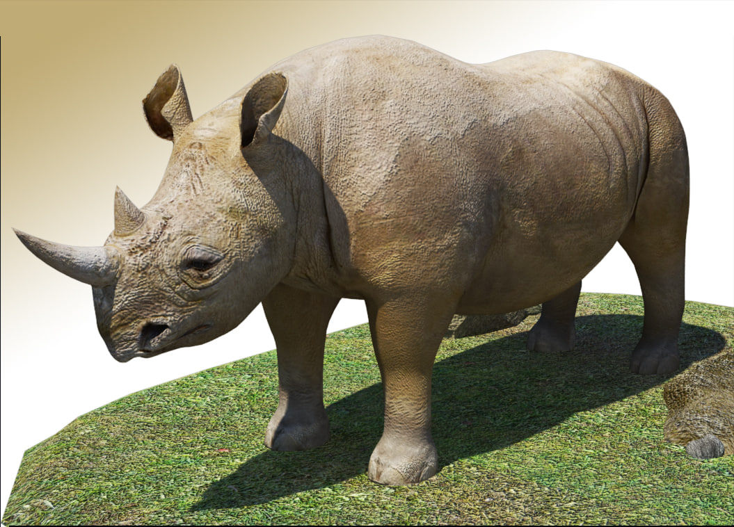 Rhinoceros 3D 7.31.23166.15001 download the new version for ipod