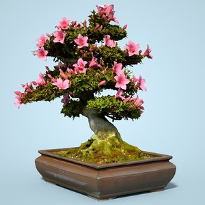 satsuki bonsai tree blossom 3D model