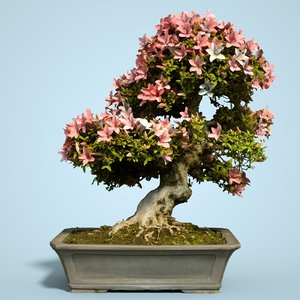 3D satsuki bonsai tree blossom