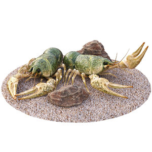 3D crawfishes stones model