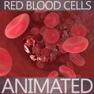3D blood cells model