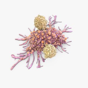 3D t cells attacking cancer