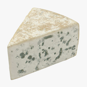 3D blue cheese piece model