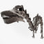diplodocus skeleton 3D