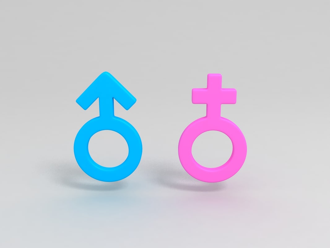 3d Gender Symbol Model Turbosquid