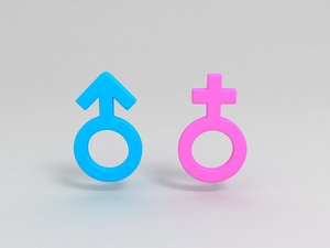 3D gender symbol model