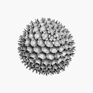 dandelion pollen 3D