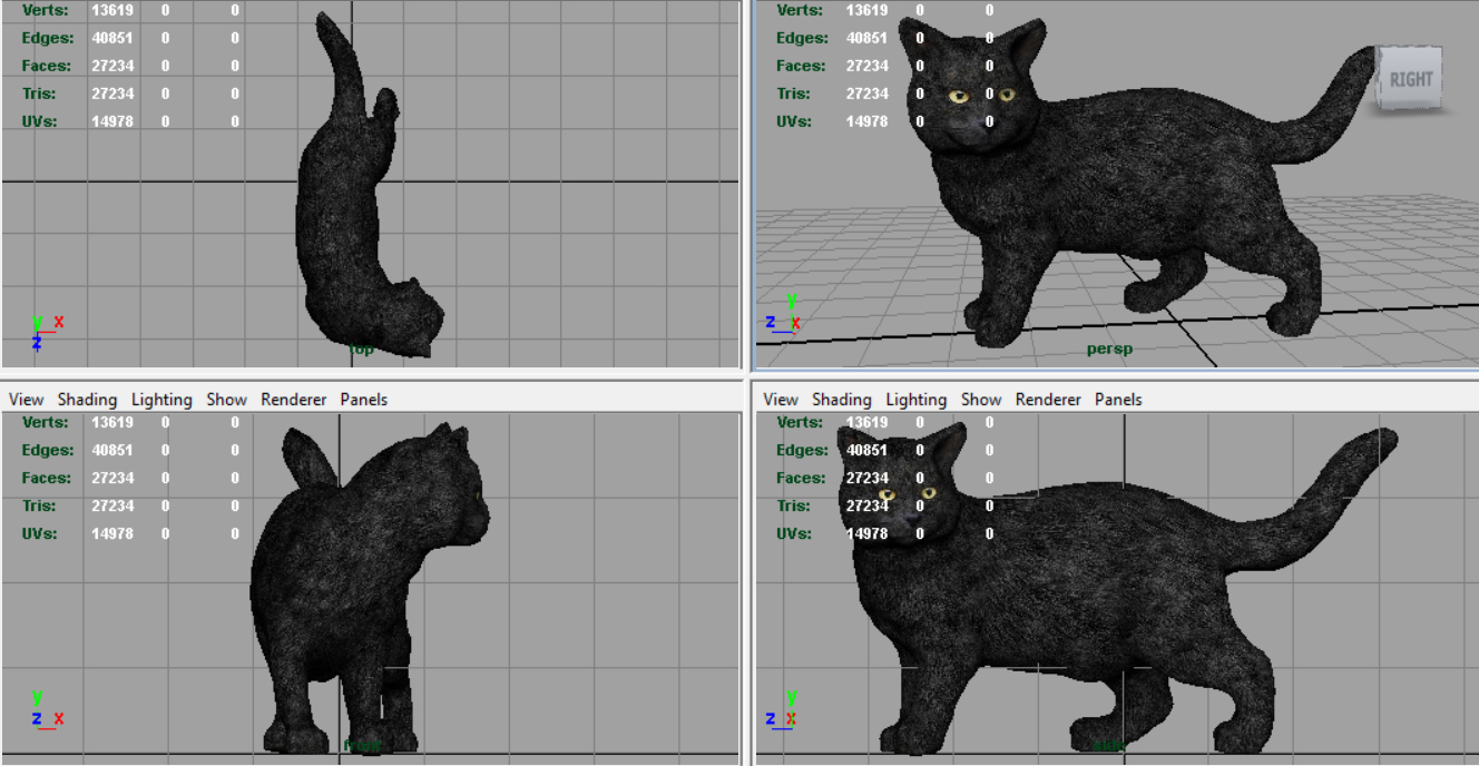 猫3d模型