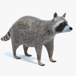Racoon 3D Pewter Animal 