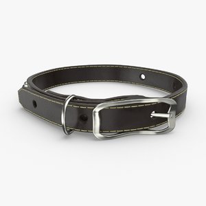 dog-collar-01 model