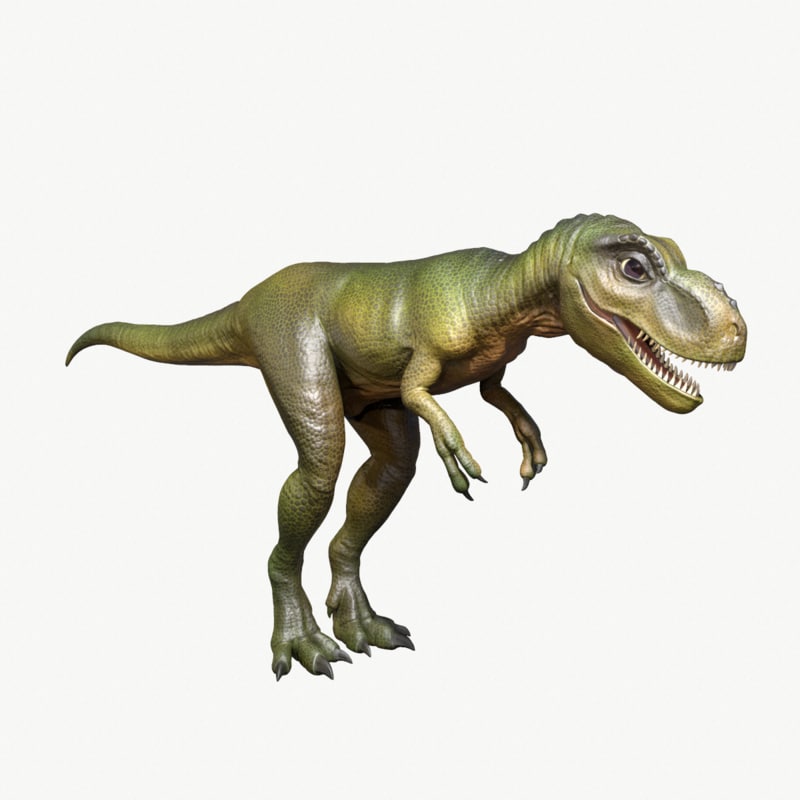 tyrannosaurus view in 3d