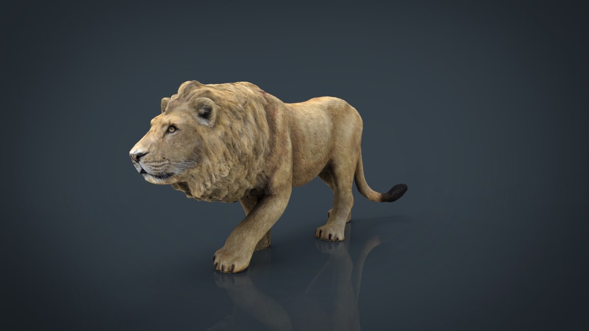 3D hd realistic lion - TurboSquid 1167830