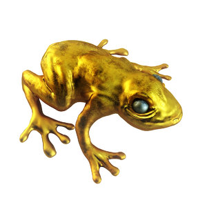 3D model golden frog