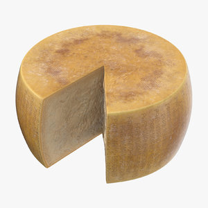 3D parmesan cheese wheel cut model