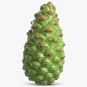 fir cone green 3D model