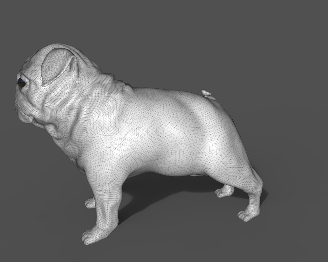 3D pug model - TurboSquid 1168561