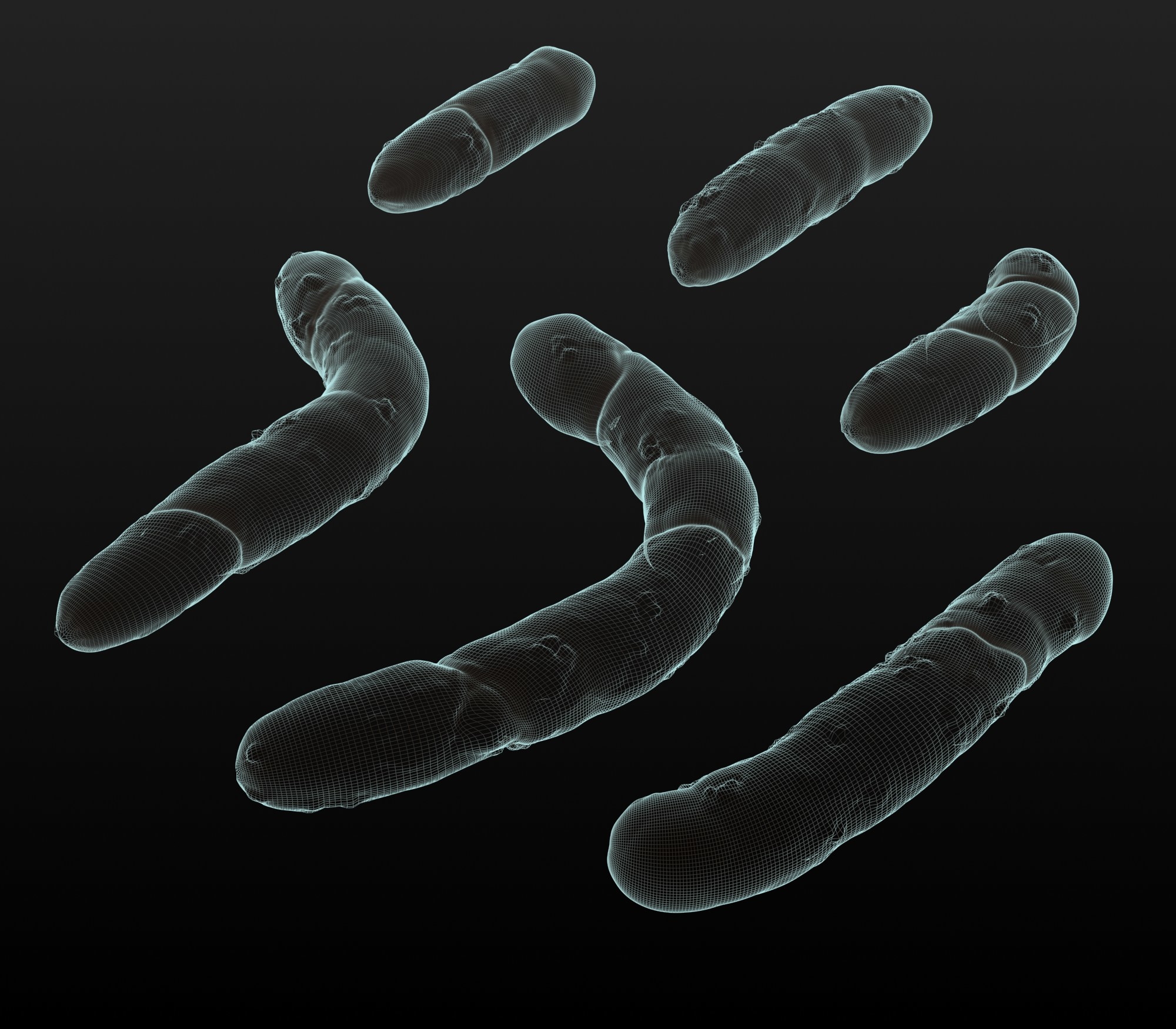 3d-bacteria-actinobacteria-turbosquid-1168726