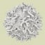 3D lymphocytes neutrophil basophil