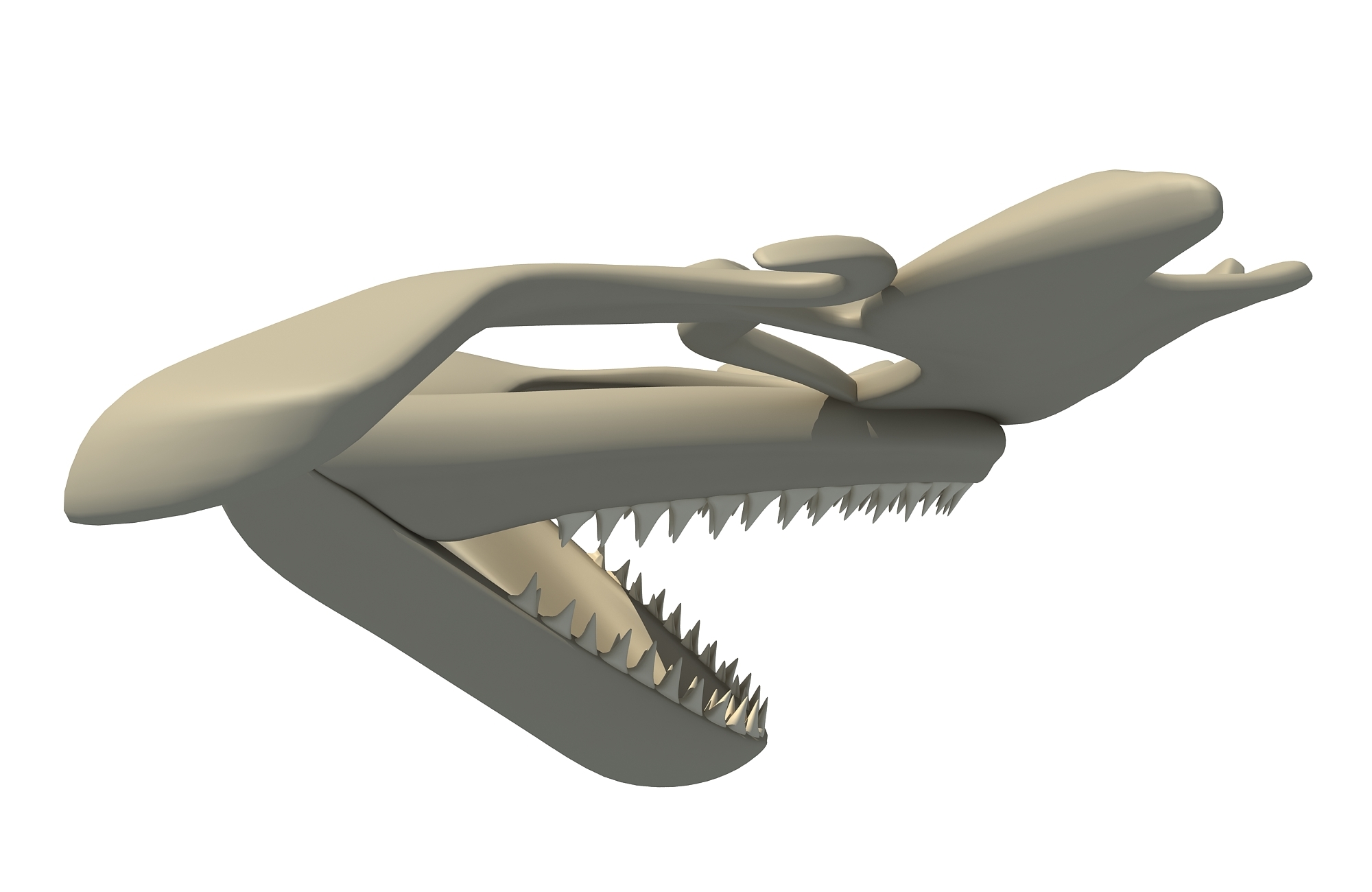 Hammerhead shark skull skeleton 3D model - TurboSquid 1170166