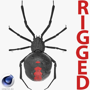 3D black widow spider rigged