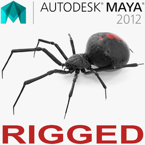 black widow spider rigged 3D