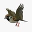 3D group sparrows flying animation