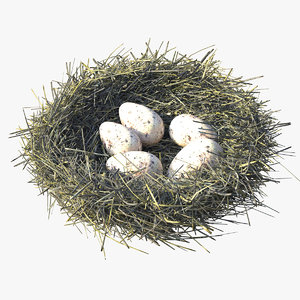 3D model bird s nest