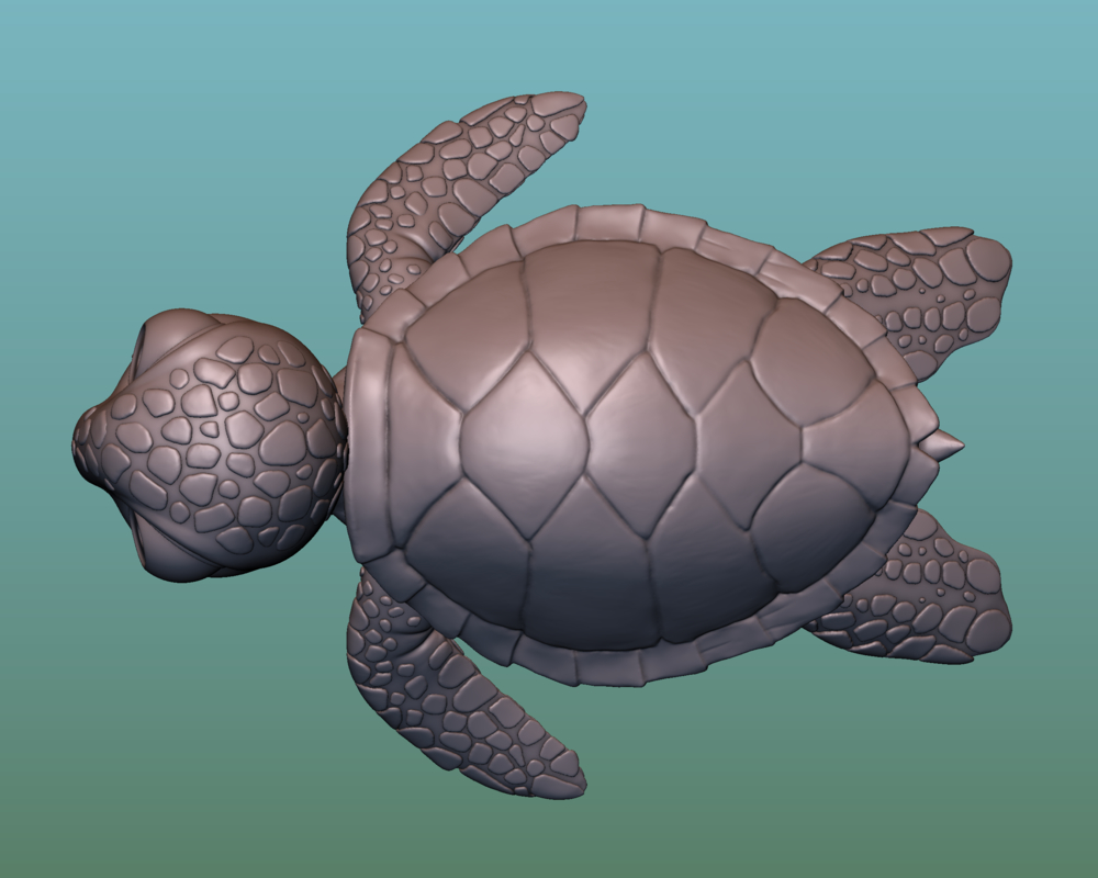 Turtle sea 3D model - TurboSquid 1171046