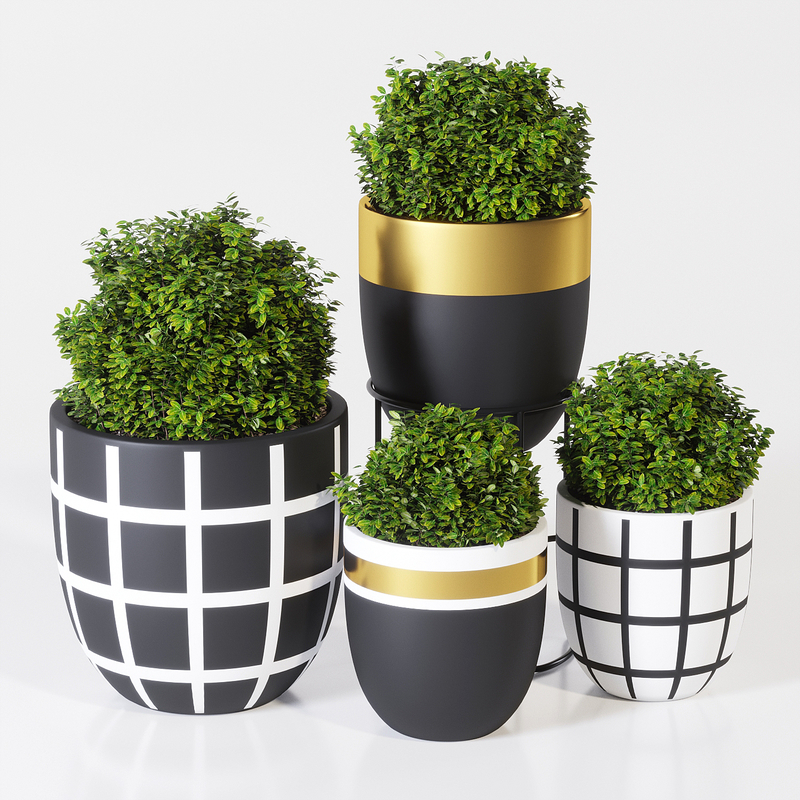 3D model designtwins pot design twins TurboSquid 1171523