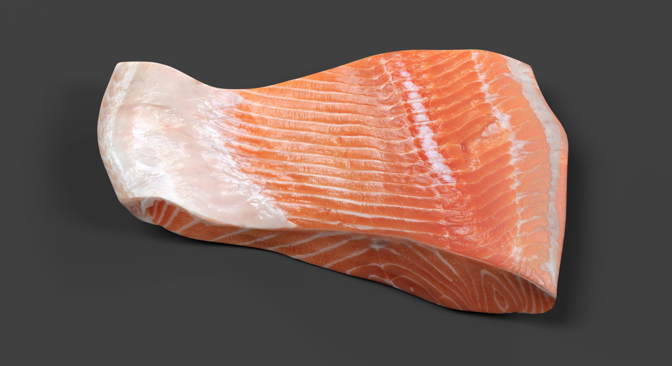 3D model salmon fillet - TurboSquid 1171603