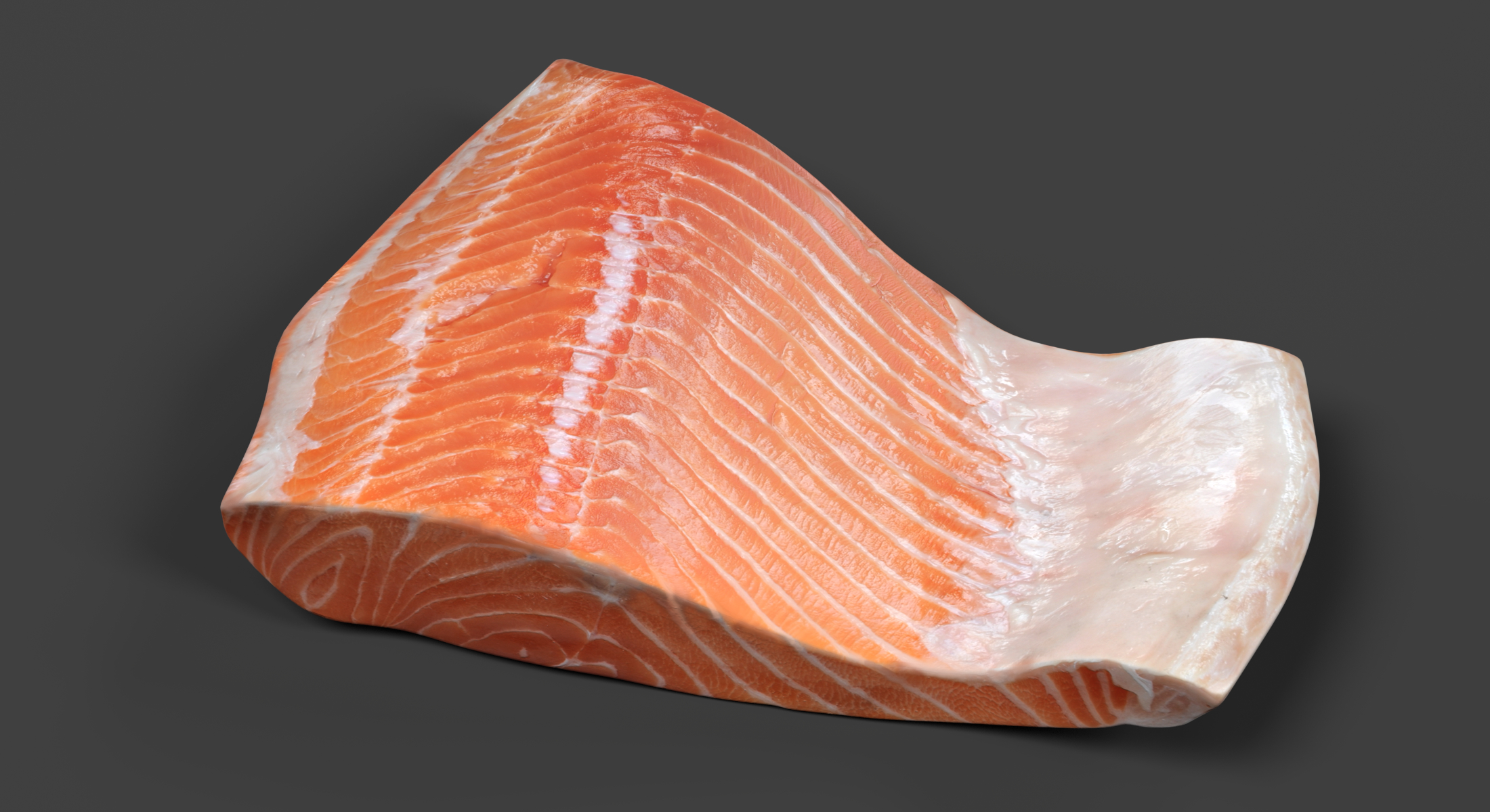 3D model salmon fillet - TurboSquid 1171603