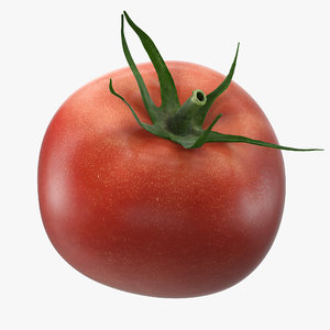 tomato realistic model