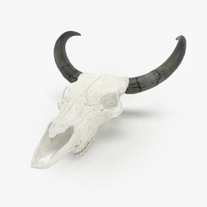 sculpted bull skull 3D model