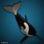 3D orca killer whale model