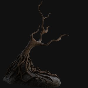 old tree 3D