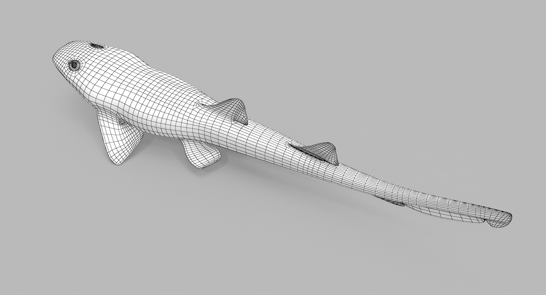 3D spotted bamboo shark model TurboSquid 1172848