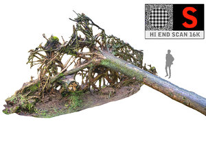 3D tree roots hd 16k
