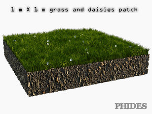 3D daisies meadow patch 1 model