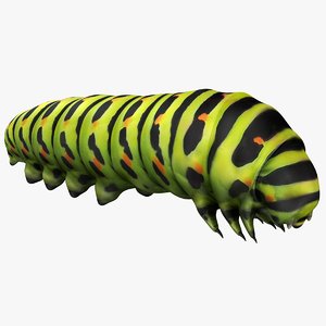 realistic caterpillars model
