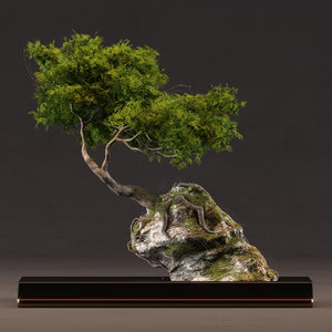3D model bonsai