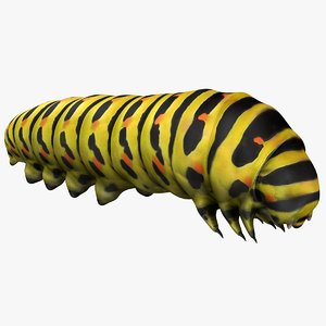 realistic caterpillars 02 3D model