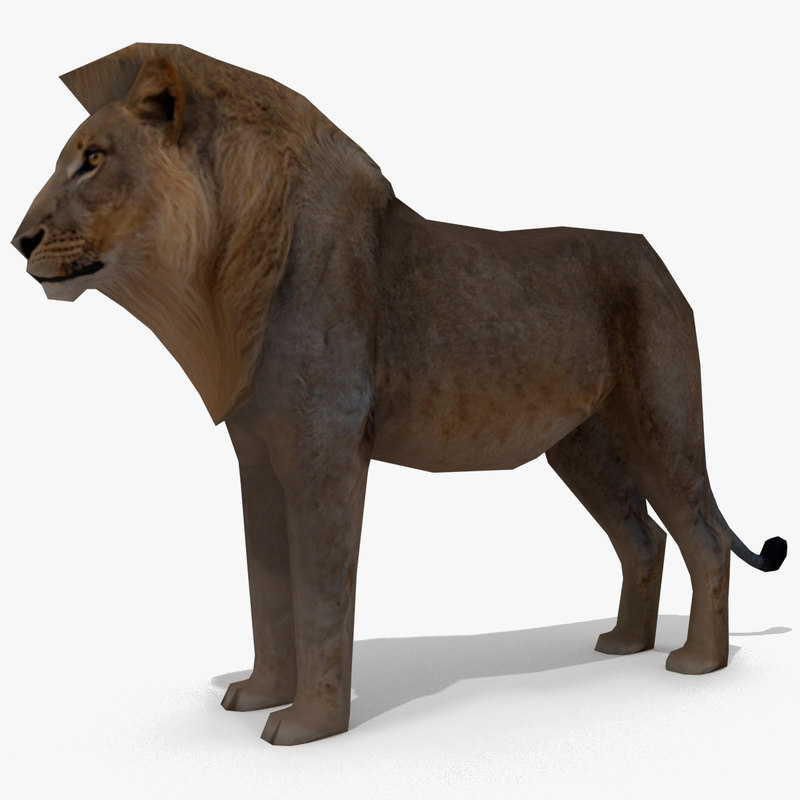 Lion 3D model - TurboSquid 1173959