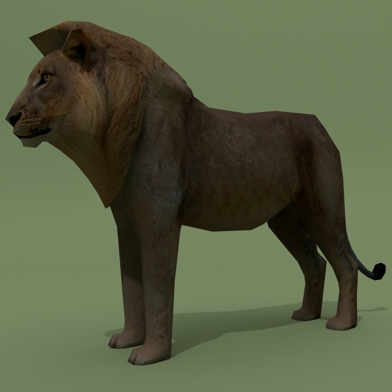 Lion 3D model - TurboSquid 1173959