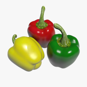 bell pepper 3D model