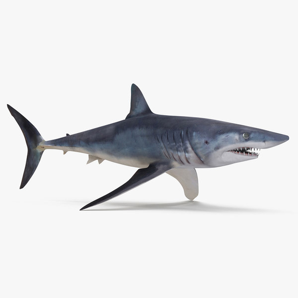 mako shark toy