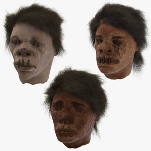 3D 3 shrunken heads model